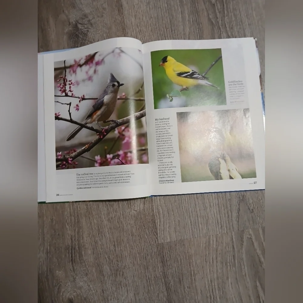 'Birds in Every Season' Book - By Birds And Bloom. 300+ Bird Photos.